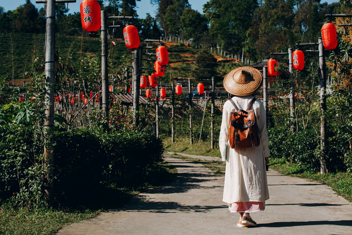 Exploring the Allure of Vietnam: A Deep Dive into Culture and Landscapes
