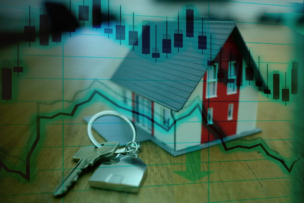 Self-Directed IRAs